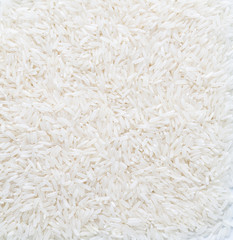 rice grain (jasmine rice)