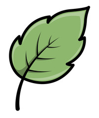 Leaf - Cartoon Vector Illustration