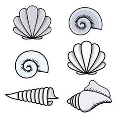 Seashells - Cartoon Vector Illustration