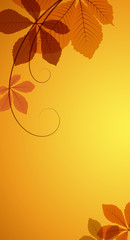 Autumn background with yellow chestnut leaves