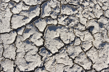 Mud texture