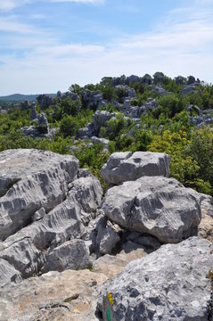 Mer de rochers, Sauve