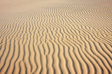 Ripples in the sand of a beach