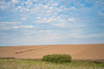 Fototapeta premium Landscape of the village. Poland