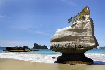 Tischdecke Cathedral Cove, Neuseeland © Friedberg