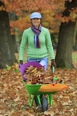 Autumn - woman raking leaves in the garden