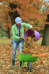 Autumn - woman raking  leaves in the garden