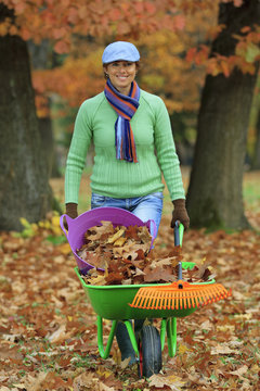 Autumn - Woman Raking Leaves In The Garden