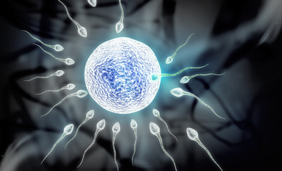 sperm and ovule - obrazy, fototapety, plakaty