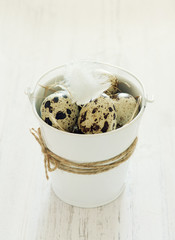Quail eggs in a bucket