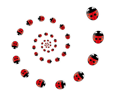 Marienkäfer - Spirale,Rot