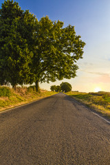 Road in the countryside at sunset.