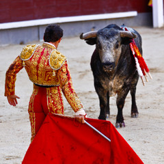 Naklejka premium Traditional corrida - bullfighting in spain