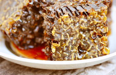 Sweet honeycombs with honey on plate, close-up