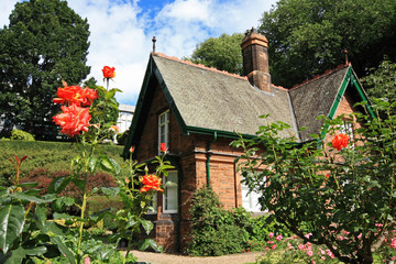 Fototapeta na wymiar Little house with roses