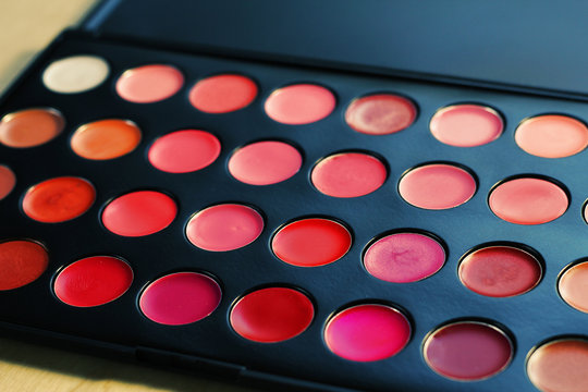 Makeup: professional lip palette
