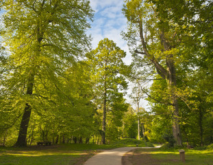 Nature trail through enchanted forest © travelwitness