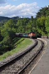 Train à vapeur des Cévennes