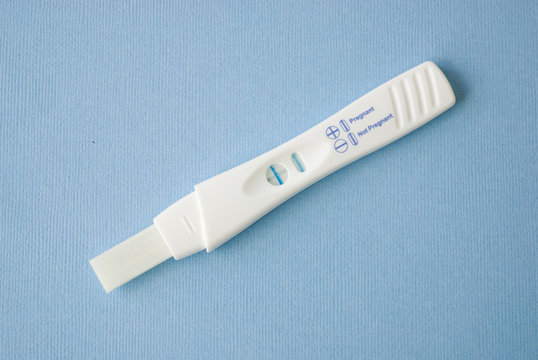 pregnance