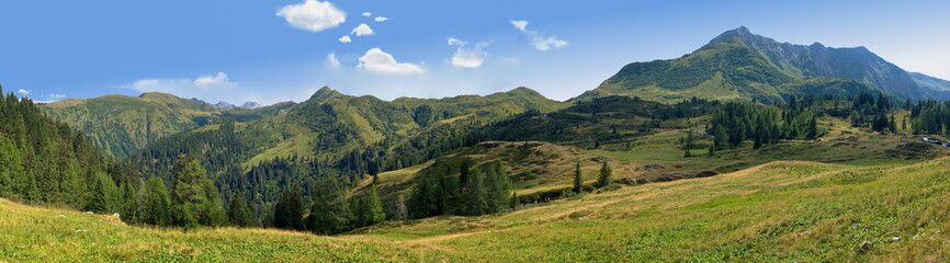 Fototapeta na wymiar Panorama Zollner Alm in den Karnischen Alpen