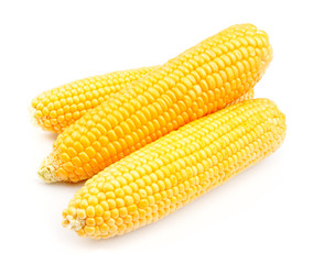 Corn isolated