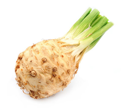 Fresh celery