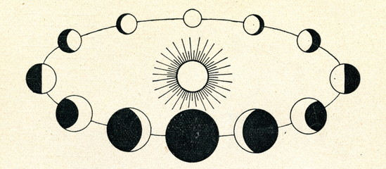 Phases of Venus - 55369027