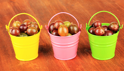 Fresh gooseberries in buckets on table close-up