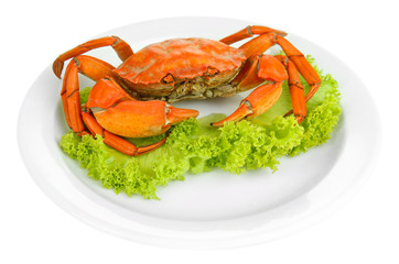 Boiled crab on white plate, isolated on white