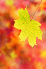 Herbst 23