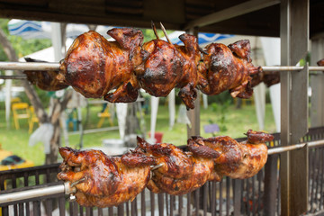 Roasting chicken