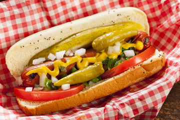 Chicago Style Hot Dog