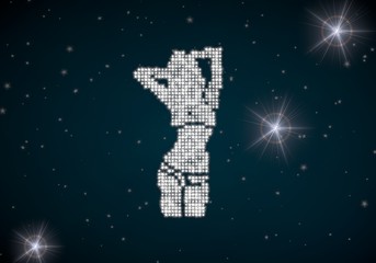 sexy woman symbol glittering on night sky