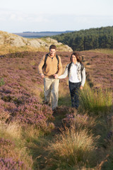 Couple Hiking Across Moorland Covered With Heather