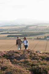 Couple Hiking Across Moorland Covered With Heather