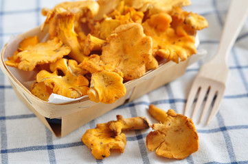 Eierschwammerl, Pfifferlinge