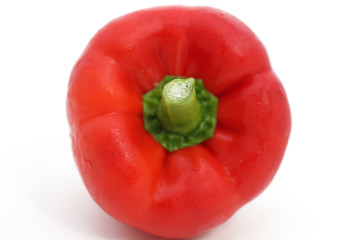 Red pepper with white background