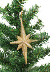 Golden star on a christmas branch