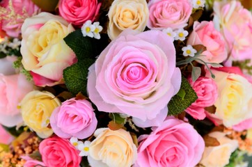 pink flower