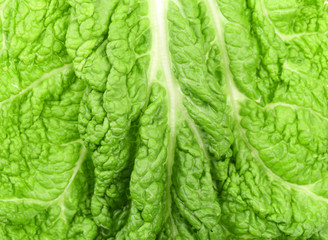 Obraz premium Background of leaf chinese cabbage.