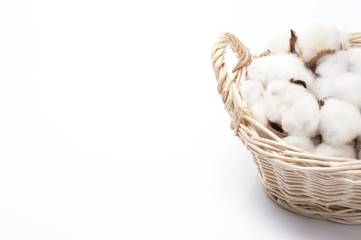 バスケットに入った綿の実のアップ