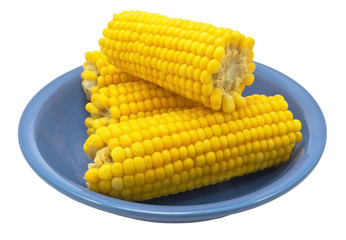 Ear of Corn