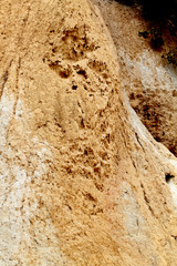 Limestone rock face