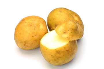 potato