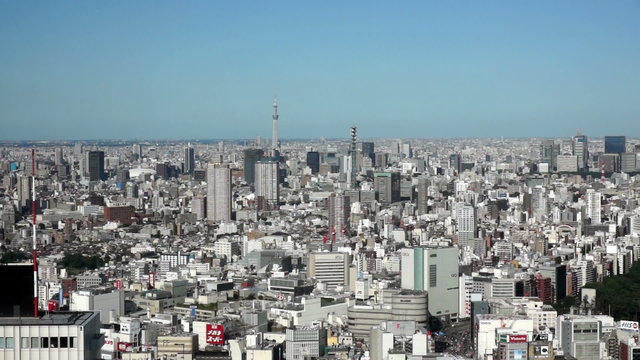 東京　眺望 （新宿よりスカイツリー方面を望む）