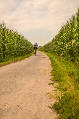 Fototapeta premium biciletta in campagna