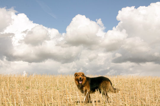 Sam unter Wolken