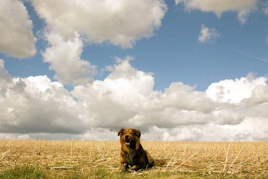 Sam in den Wolken