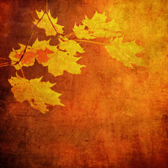 grunge background with autumn leaves