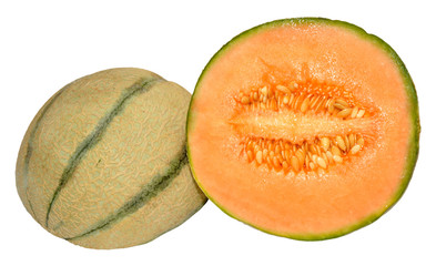 Cantaloupe Melon
